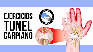 Los mejores ejercicios para el sindrome del tunel carpiano [upl. by Jesse]