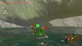 Korok Seed 168 Menoat River  The Legend of Zelda Tears of the Kingdom [upl. by Veda]