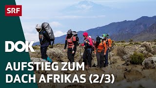 Abenteuer Kilimandscharo – Auf Expedition in Tansania 23  DOK  SRF [upl. by Orsini]