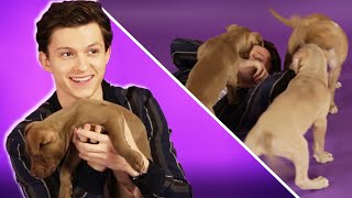 Tom Holland The Puppy Interview [upl. by Fredenburg]