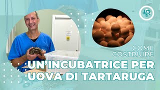 Tartarughe  Come costruire unincubatrice per le uova di tartaruga [upl. by Elayor]