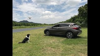 INFINITI QX30運動小休旅龐德老師出遊試駕 [upl. by Triley]