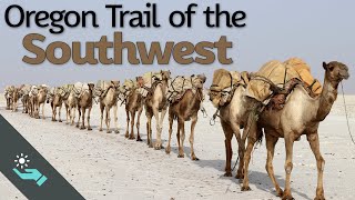 The Oregon Trail of the Southwest  US Camel Corps [upl. by Einwahr]