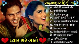 सदाबहार गाने 🌹Evergreen Songs💕Udit NarayanAlka Yagnik Songs💗90s 80s Songs💗💗 [upl. by Hall]