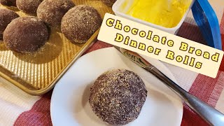 HOW TO MAKE THE BEST CHOCOLATE BREAD DINNER ROLLS  EASY STEP BY STEP ROLLS  THE UNSALTED KITCHEN [upl. by Nataline]