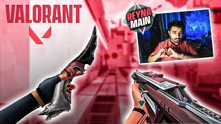 Insane VALORANT PLAYS BlackBloodLive  valorant valorantgameplay [upl. by Walston]