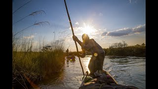 Into The Okavango Trailer  Green Film Fest 2018 [upl. by Nosniv535]