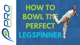 HOW TO BOWL THE PERFECT LEG SPINNER [upl. by Rennerb]