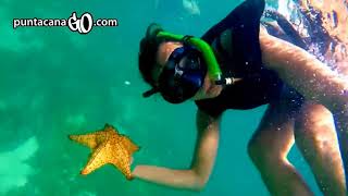 BOOK NOW Excursion a Isla Saona desde Punta Cana [upl. by Mickelson]