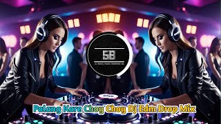 Palang Kare Choy Choy Dj Song  Edm Drop Mix  DJ SURAJ REMIX [upl. by Anneirda]