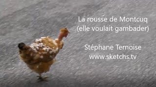 La rousse de Montcuq elle voulait gambader Humour de campagne Vie des poules lotoises [upl. by Aneeuq]