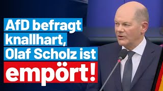 Regierungsbefragung AfDFraktion grillt Kanzler Scholz  AfDFraktion im Bundestag [upl. by Lucine263]