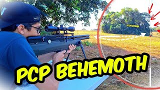 Teste agrupamento 100 metros Carabina PCP Behemoth PSR2 Nova Vista [upl. by Yttiy]