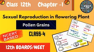 Class 12th Biology  Ch  1 Lec 4  Pollen Grains  Structure Development and Applications EN [upl. by Kacie]