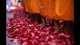 Poderosos Cuencos Tibetanos para Limpiar y Activar los Siete Chakras😍😴💪🙏🍀🌞 [upl. by Hocker]