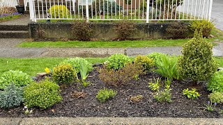 Garden Tour Boulevard Flower Bed 4K  April 8 2024 [upl. by Roi778]