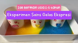 Ide Bermain Anak Usia 2 Tahun Eksperimen Sains Mengenal Ekspresi Wajah [upl. by Aissela647]