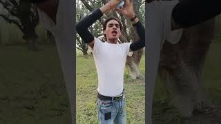 Salman bhai photo khinch Dena Jara shortvideo funny funnyvideo palia palia comedy king [upl. by Zoes]