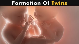 How Twins Are Formed  Fraternal twins amp identical twins UrduHindi [upl. by Aicenaj]