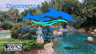 Discovering Discovery Cove [upl. by Zorana]