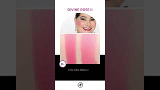 Pat McGrath Divine Rose II Blush Duo Review amp Swatches [upl. by Yddet610]