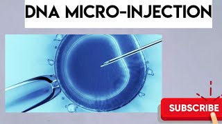 method for gene transfer Microinjection In hindi and english [upl. by Ramuk]