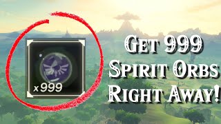 How to Get 999 Spirit Orbs in Minutes in Zelda Breath of the Wild [upl. by Wes744]