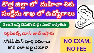 Mahila sisu samkshema sakha jobs notification 2024 ap Mahila sisu samkshema sakha jobs wdcw latest [upl. by Adnowat499]