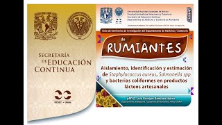 Aislamiento identificación y estimación de Staphylococcus aureus Salmonella spp [upl. by Ondrea]