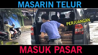 Begini Proses Saya Masarin Telur Dari Peternakan Ayam Saya Sendiri [upl. by Koh]