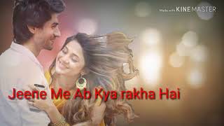 Bepanah title song with lyrics [upl. by Enaenaj]