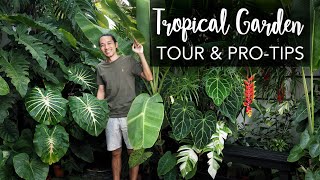 DREAM BIG in a tiny Tropical Garden 280 sqft  Pro Gardening Tips ft the legendary Farren Wayne [upl. by Yeltnarb22]