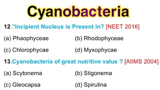 Cyanobacteria MCQ  Cyanobacteria bsc 1st Year in English [upl. by Harriot573]