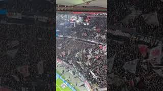 Nordwestkurve Eintracht Frankfurt vs Werder Bremen 23112024 [upl. by Fishback]