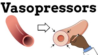 Vasopressors and Types of Shock [upl. by Tito]