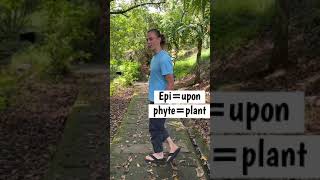 What is an Epiphyte See Examples in Nature [upl. by Ennaxor]