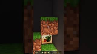 Puerta para Perros en Minecraft shorts [upl. by Ifar133]