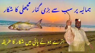 New fishing report Humaliya Kemari fishing Manora fishing Hawksby fishing [upl. by Eissolf]