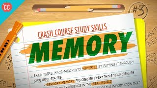 Memory Crash Course Study Skills 3 [upl. by Anoel]