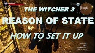 The Witcher 3  How To Set Up The Reason of State Quest  Guide [upl. by Schmidt]