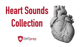 Heart Sounds Collection  EMTprepcom [upl. by Yro]