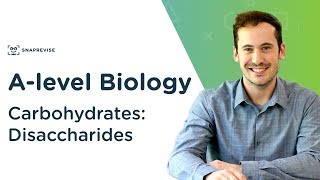 Carbohydrates Disaccharides  Alevel Biology  OCR AQA Edexcel [upl. by Hartzke]