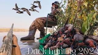 Duck Hunting in Pakistan 2024 [upl. by Girhiny]