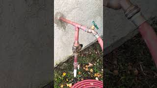 Water service riser likeandsubscribe plumber plumbingservices pressurecontrol plumbing [upl. by Shanley]