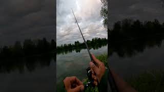 Ich teste euren Tipp gegen Grundeln Spot wechseln angeln fishing grundel [upl. by Oniram]