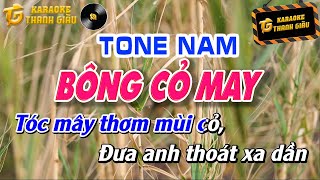 Karaoke Bông Cỏ May Tone Nam Beat Chuẩn [upl. by Puritan]