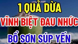 BÁC SĨ MÁCH BẠN 1 QUẢ DỪA  VĨNH BIỆT ĐAU NHỨC BỔ HƠN SOUP YẾN [upl. by Nylednarb707]