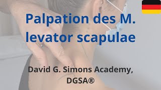 Palpation des M levator scapulae [upl. by Inahteb227]