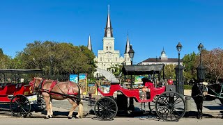 Public transportation in New Orleans streetcars ferries buses and bicycle taxis neworleans [upl. by Zendah]