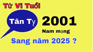 Tử vi tuổi Tân Tỵ 2001 nam mạng  sang năm 2025 công việc gặp khó  bệnh tật phát sinh [upl. by Koblas]